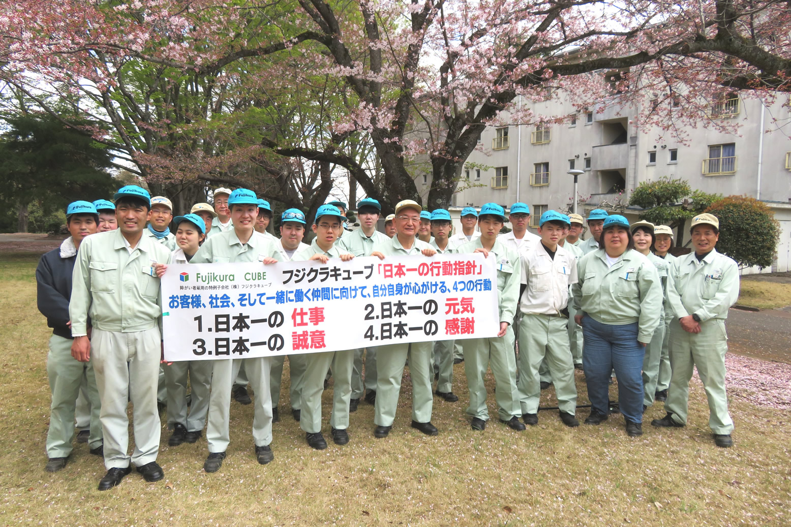 大量のQナッツ丁寧に選別します