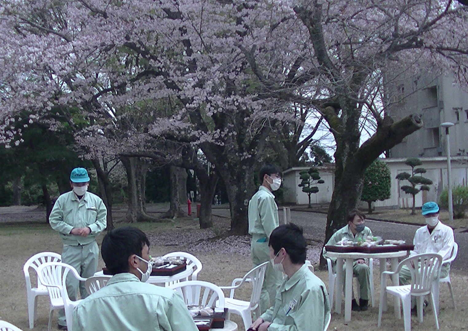 2023年度の安全を祈りながらのお花見昼食会