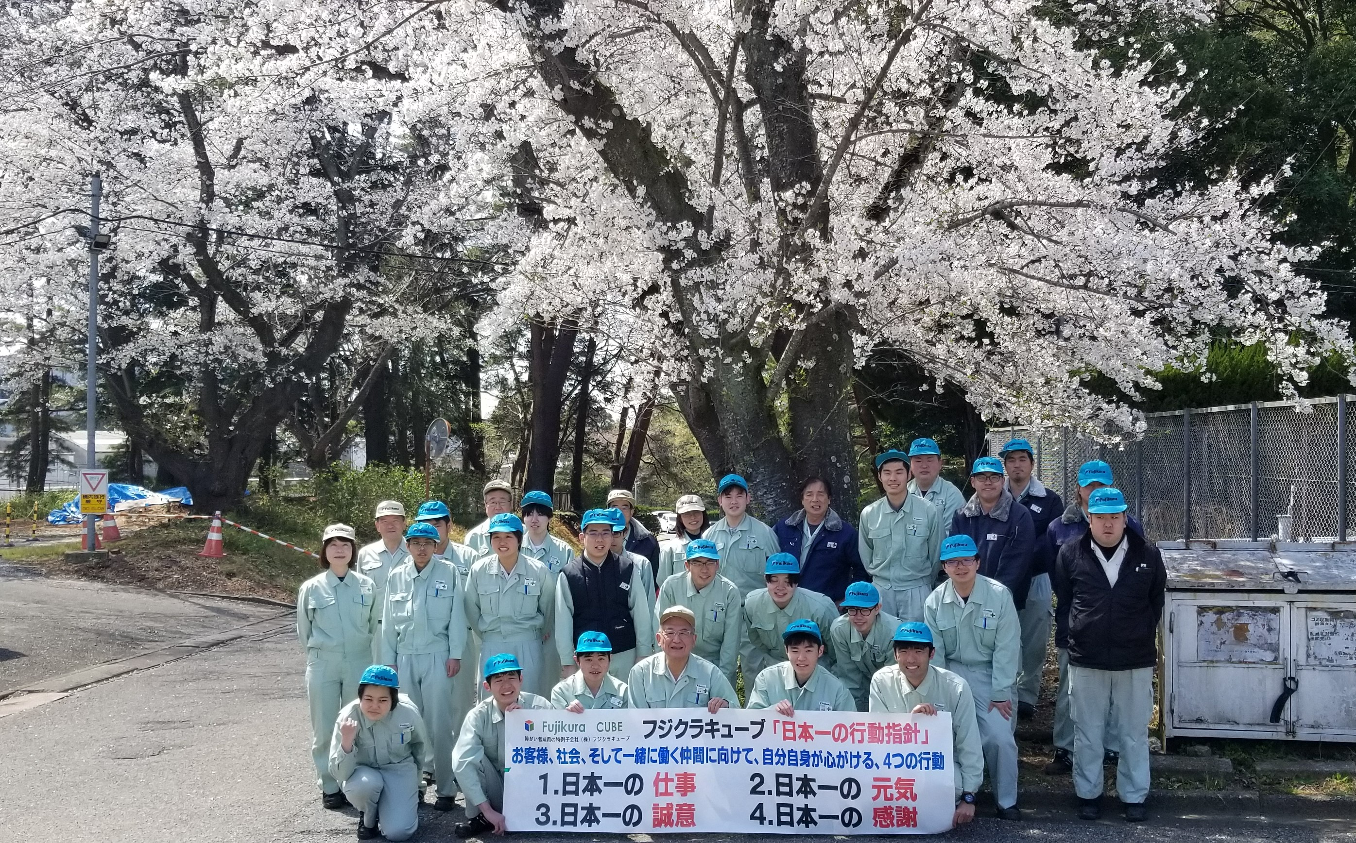 ４月1日、桜の元に集合</strong>
