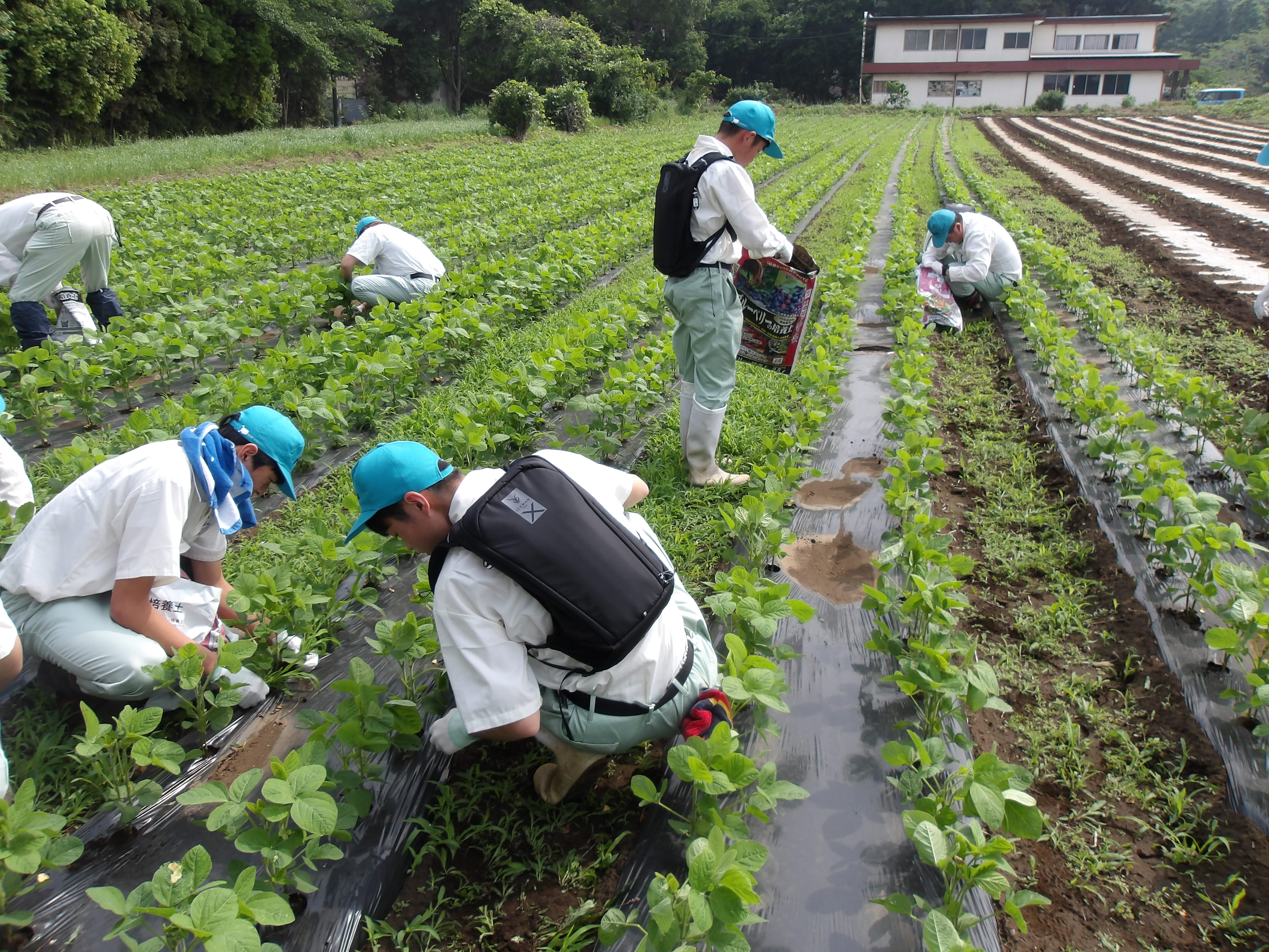 水冷機能ベスト着用での作業風景</strong>