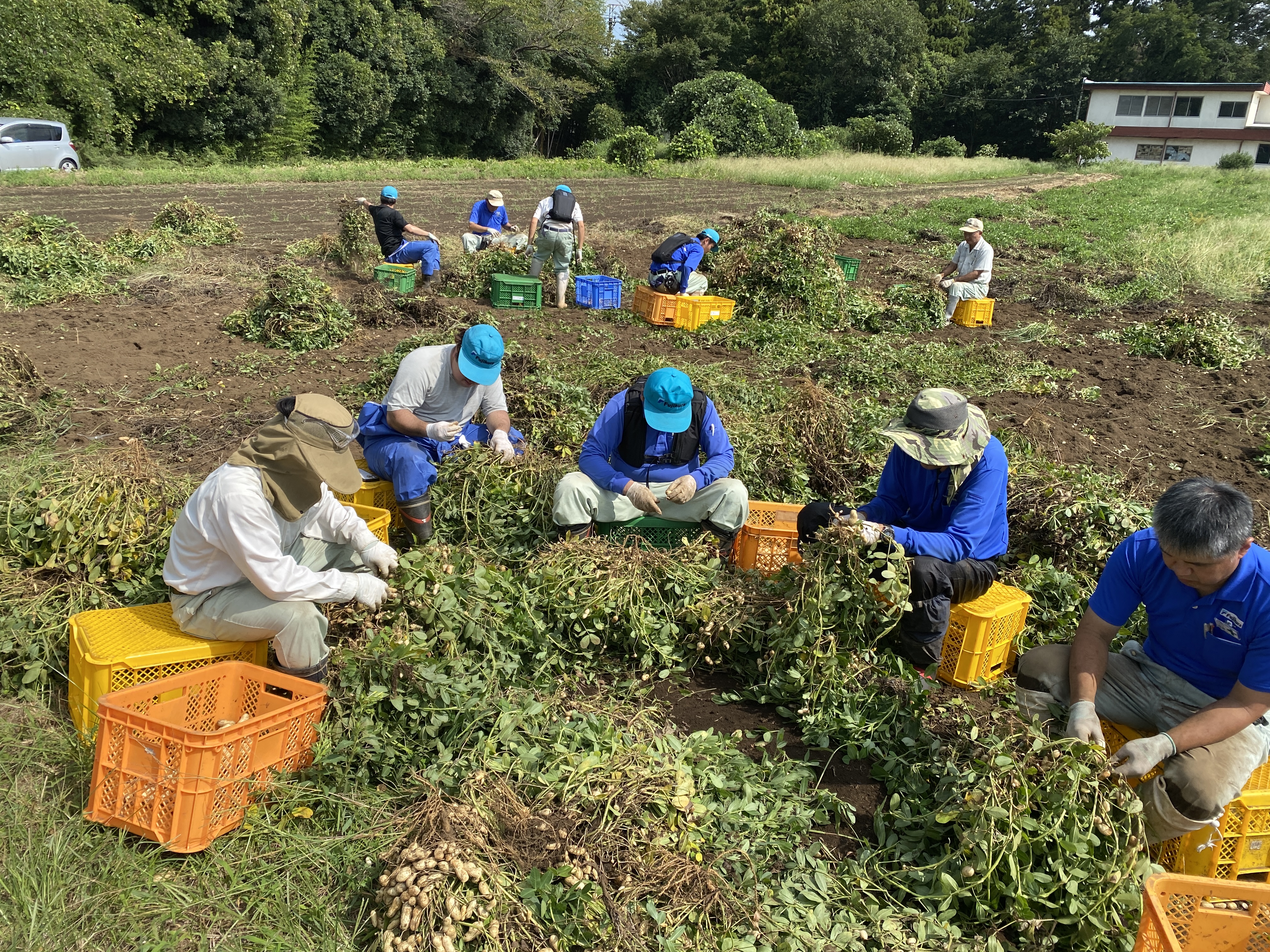 収穫作業</strong>